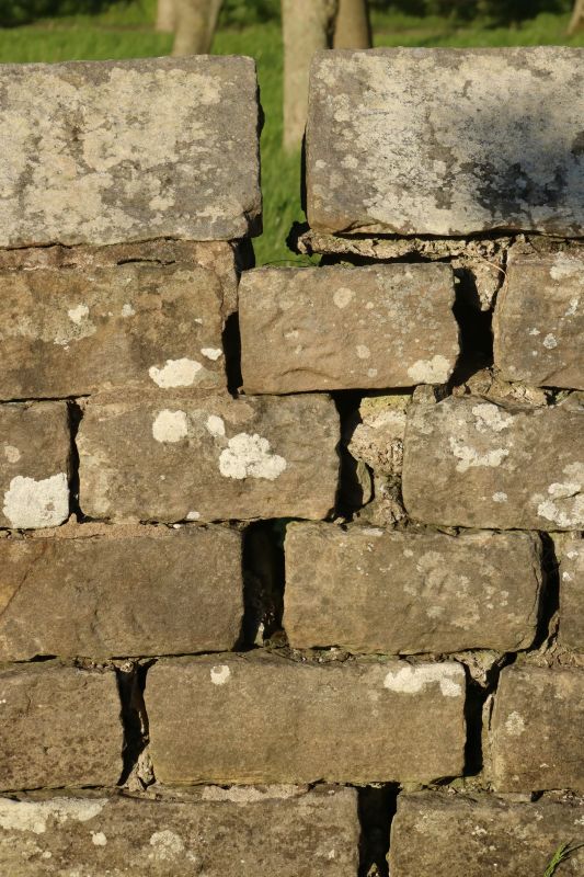 Stone Wall Repair in Buford, GA